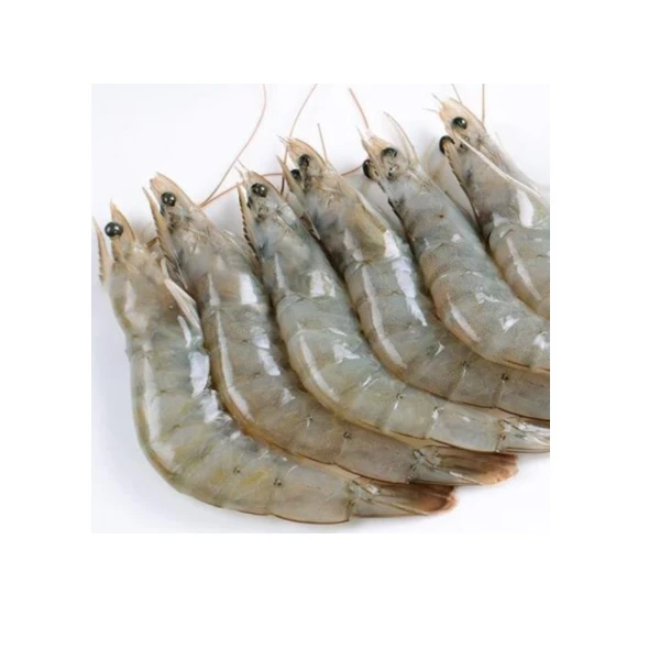 Wholesale Frozen Shrimp Seafood Shrimps Frozen Vannamei Seafood Black Tiger Shrimps Frozen