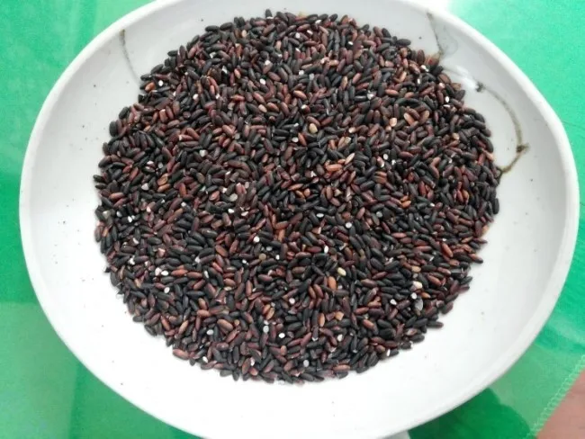  Черный рис с длинным зерном-фиолетовый голубый рис-глютиновый Азиатский фиолетовый голубой (GAO NEP THAN) (Ms Деми + 84 961 733 400)