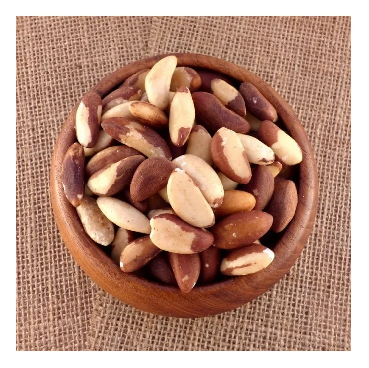 
 Best Quality Of Organic Brazil Nuts  Available Fresh stock Huge quantity at Cheapest Wholesale Pricing  