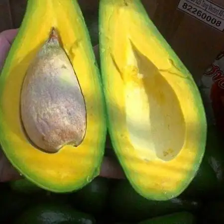 Свежий авокадо/агукат/PALTA HASS свежие фрукты