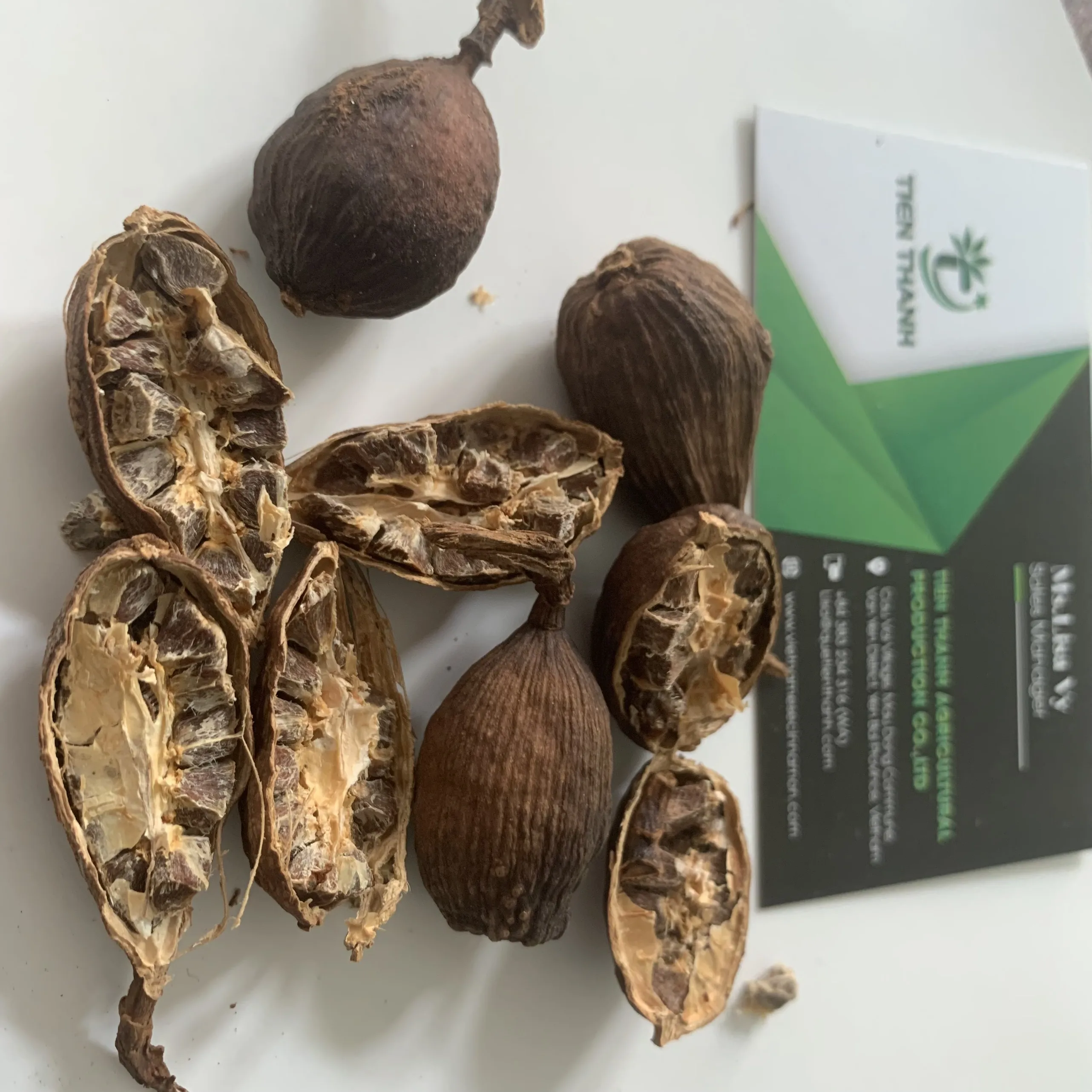 Red Cardamom/ Black Cardamom seed/ Dry Cardamom New Crop 2022