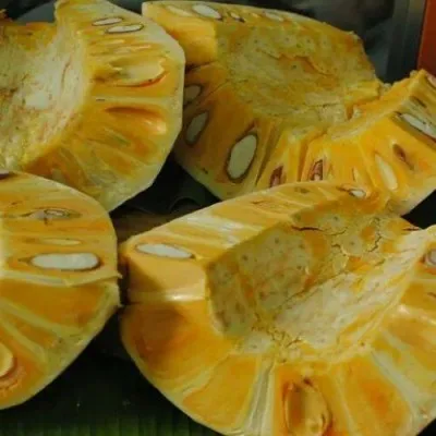 
Vietnam Fresh Jackfruit No chemichals (WS: +84904230236) 