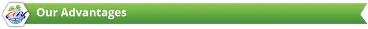 Our-Advantages-t.jpg