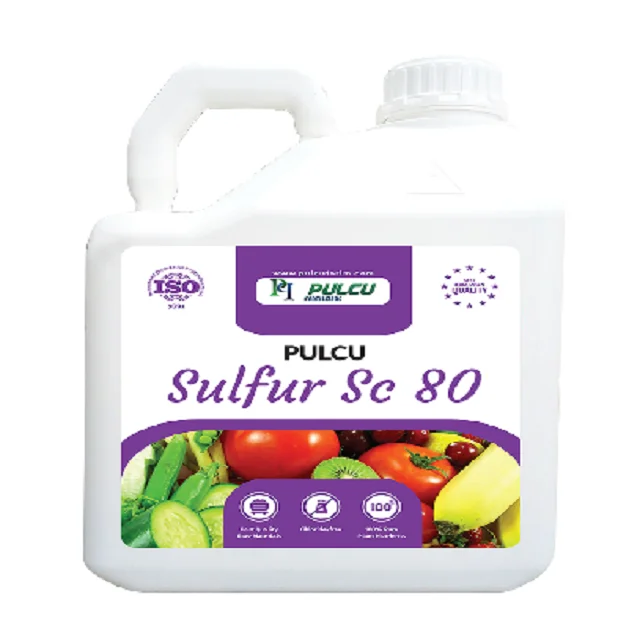 Сера SC 80 (jel)