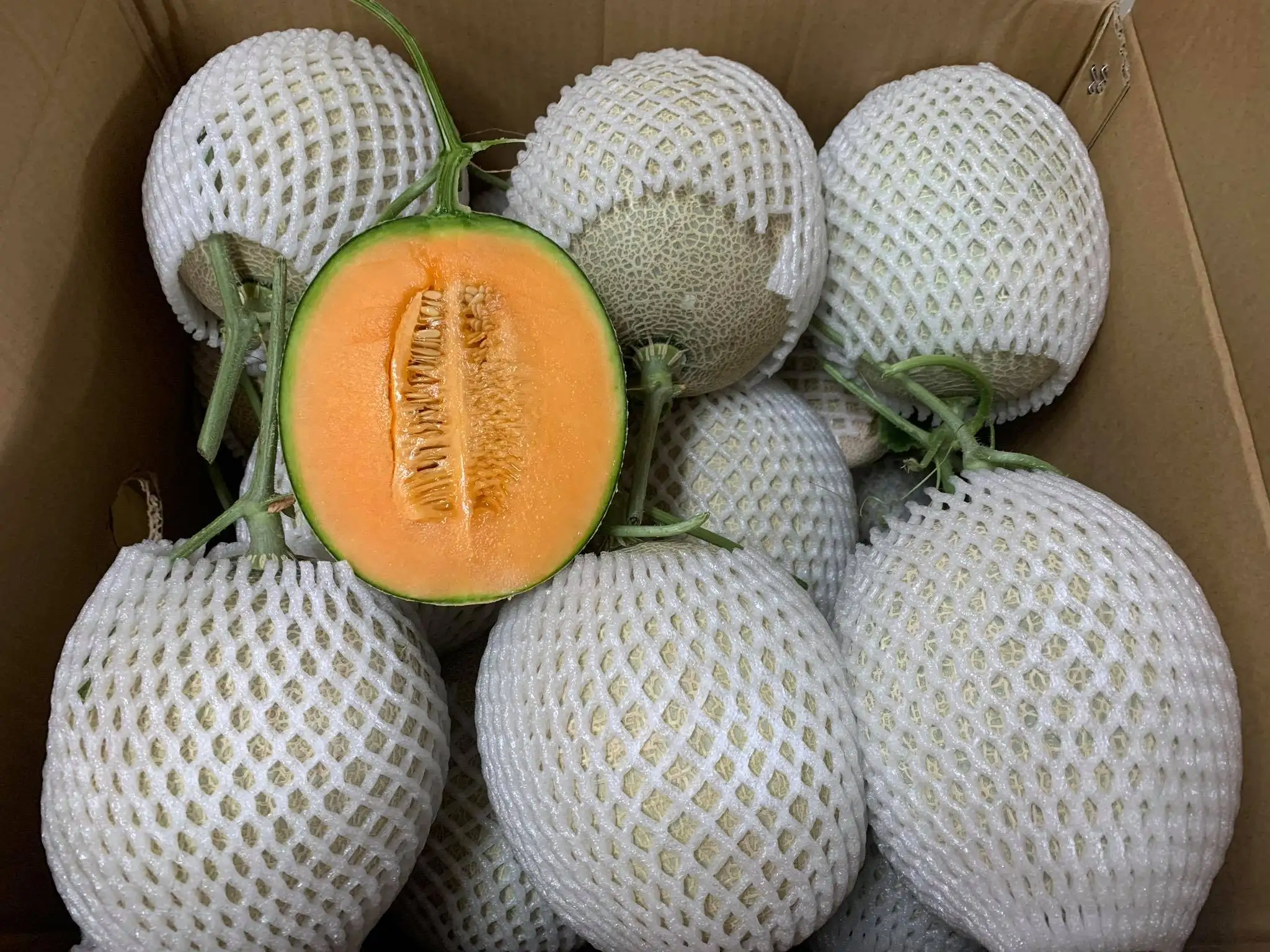 Не менее 600 г за Свежий фрукт канапа/100% натуральная вьетнамская канапа по лучшей цене/MS KATHY + 84 896650714