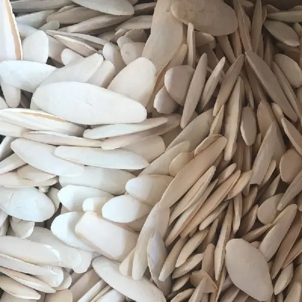 100% Natural Cuttlefish Cuttle Fish Bone Parrotts Birds feed EU Approval Number  (WS: 0084987731263)