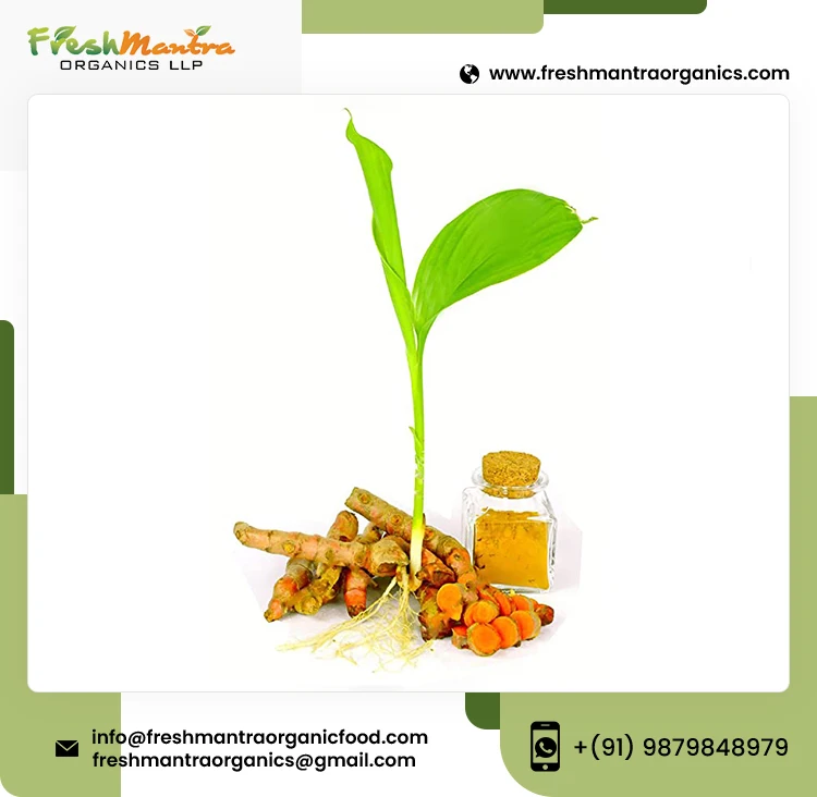 100% Vegan Gluten Free Turmeric Root Tea Bag Cut High Quality Unsweetened Organic Ayurvedic Turmeric Tea By FRESH MANTRA