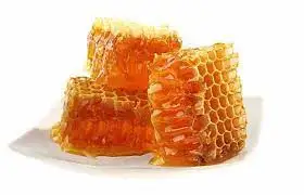 100%  Natural Pure Bee Honey From Bangladesh