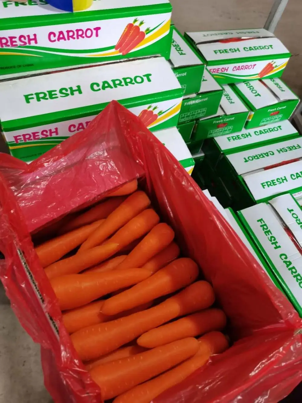 Fresh Carrot0.jpg