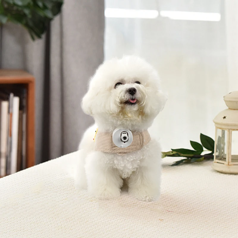 Pet social light projection LED customized photo name pet lights dog go out projection light Easy to carry
