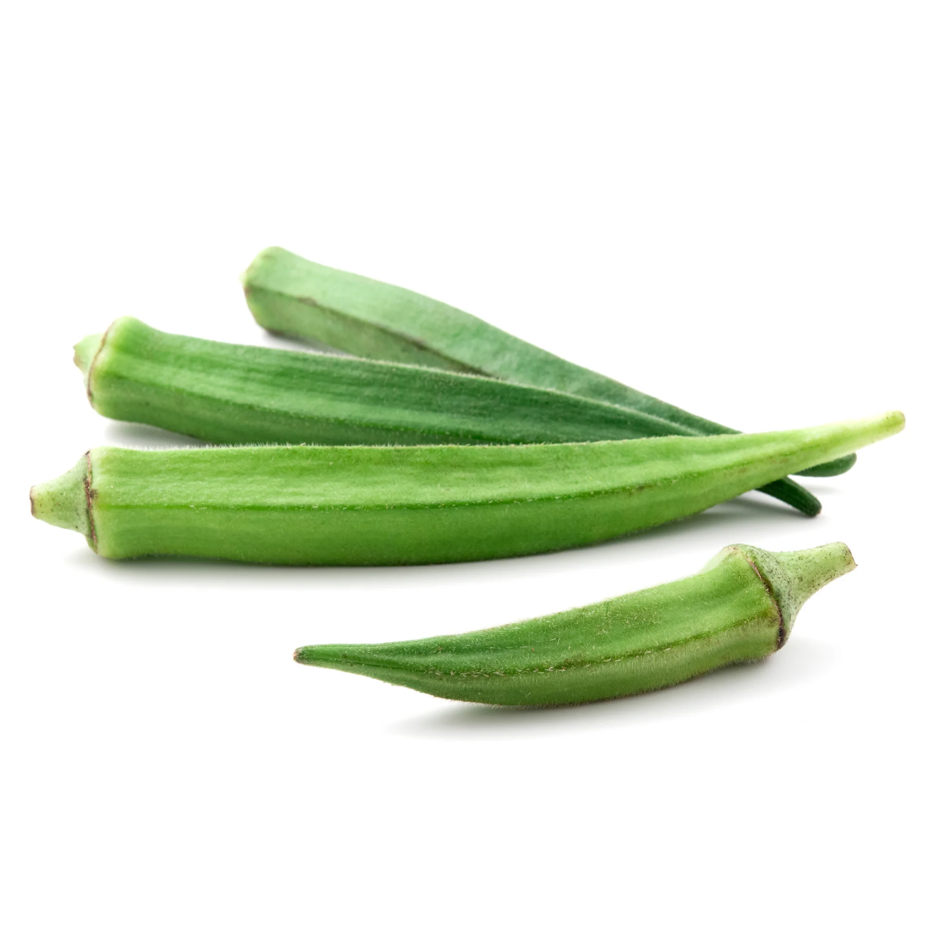 Okra High Quality