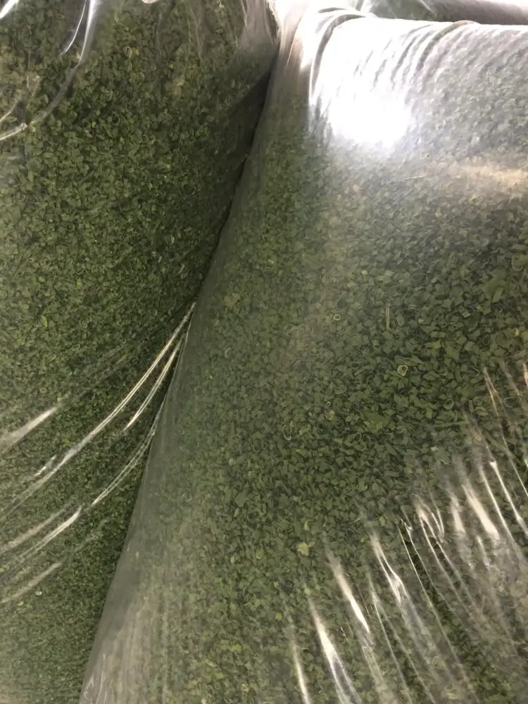 
Dried Green Scallion/ Dehydrated Green Scallion /Green Onion From Farm 