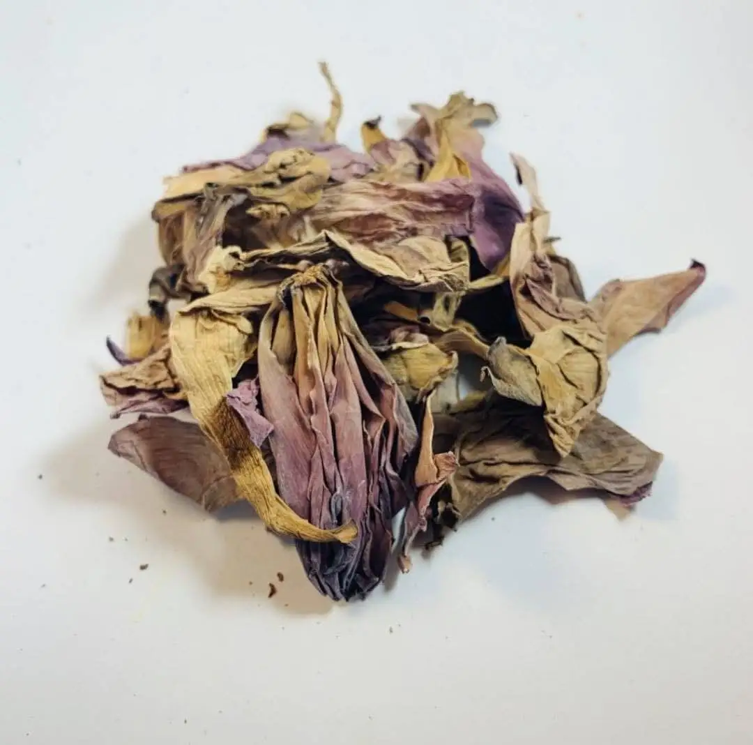 Здоровый продукт-сушеный чай с цветком лотоса травяной приятный вкус и красивый синего сушеный