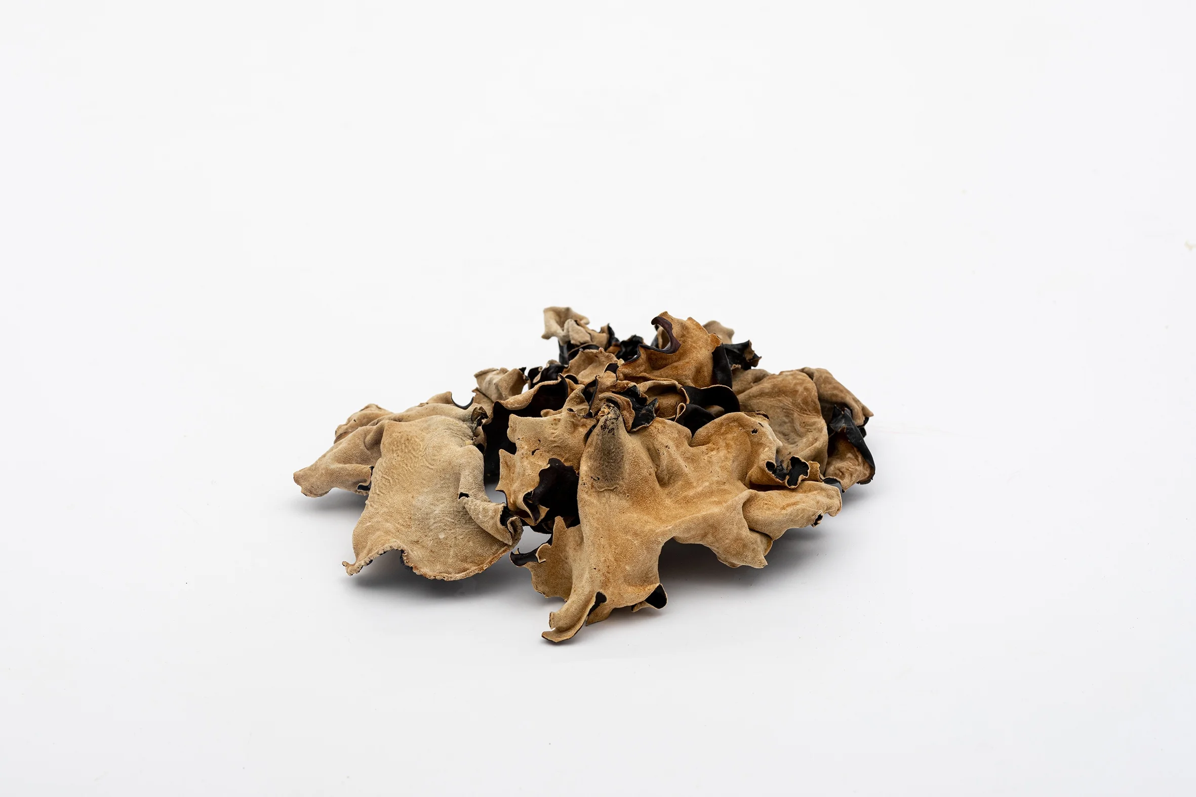 dried black fungus wood ear mushroom Black fungus