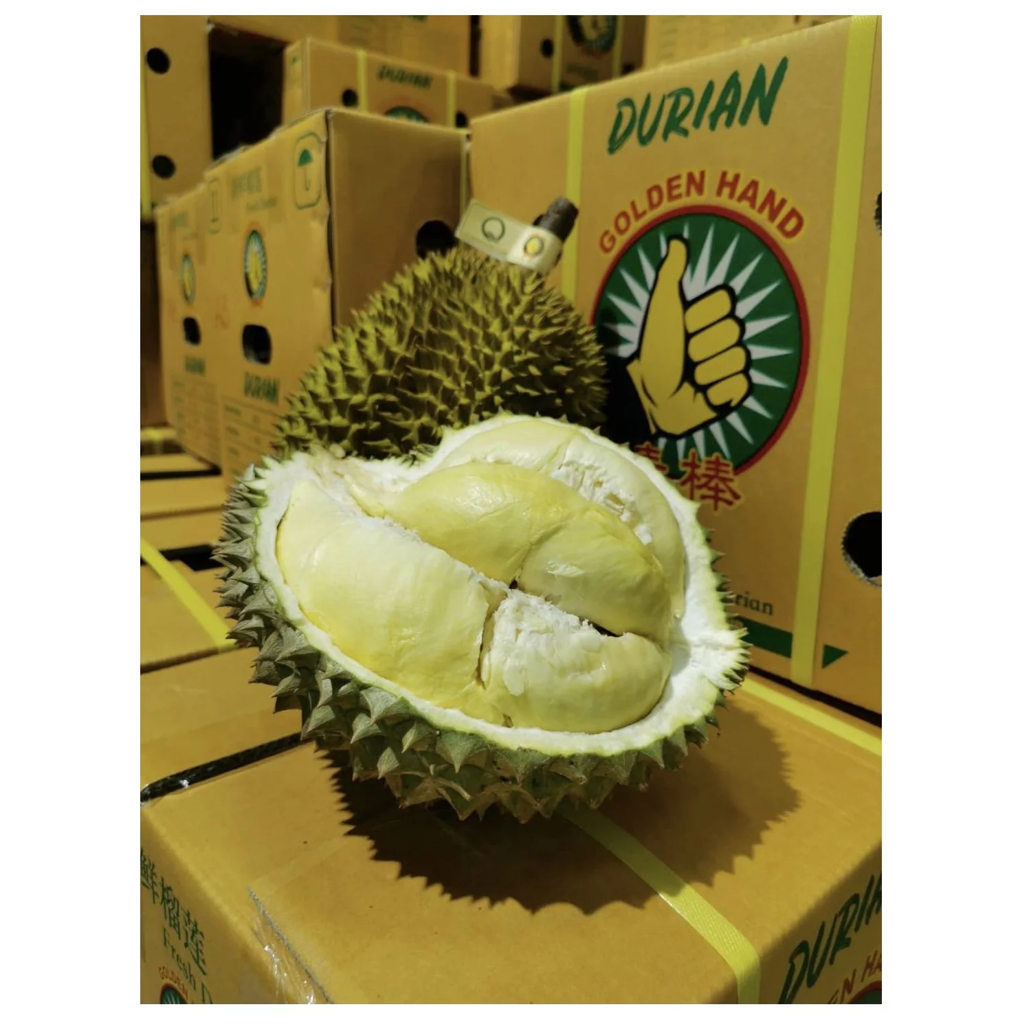 
Premium Fresh Monthong Thai Durian Fresh Fruit With High Quality And Best Selling Price 