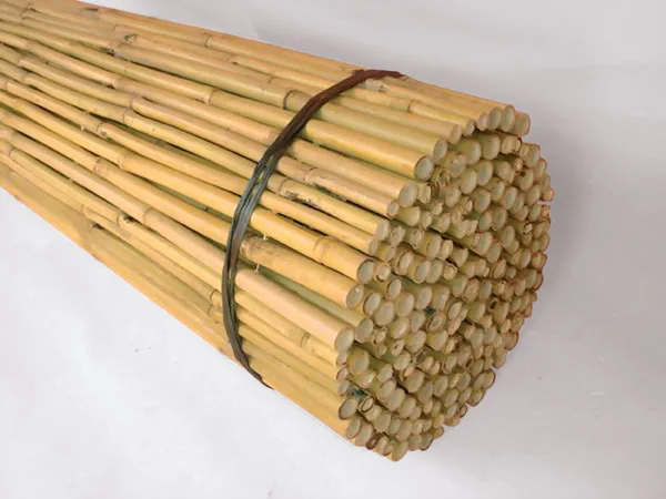 Хит продаж-Фабрика бамбука и натуральный бамбуковый шест из Вьетнама-оптовая продажа бамбуковых шестов с низкими налогами