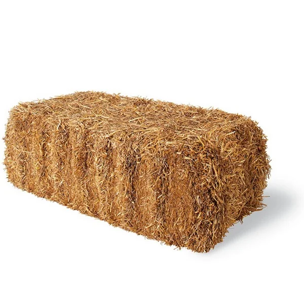 100% animal feed barley straw for sale