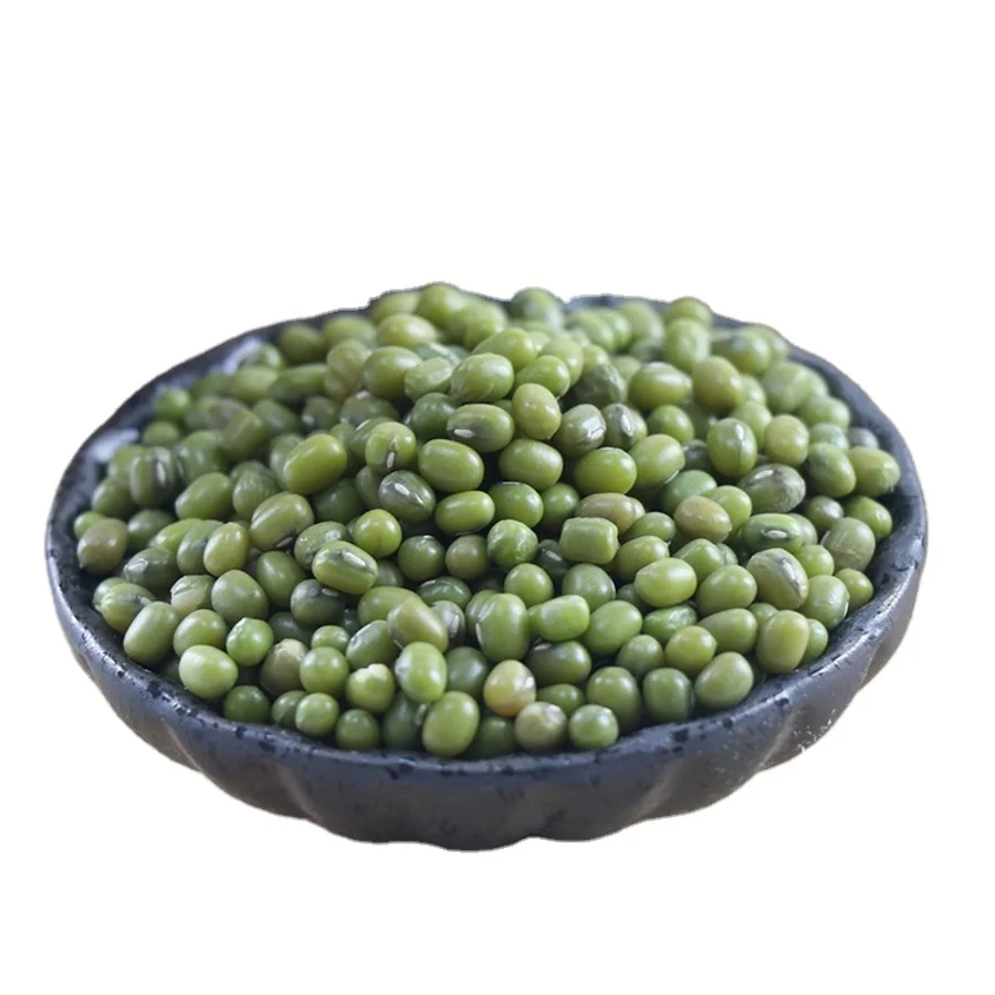 Promotional Various Good Quality Indonesia Mung Bean Green Beans