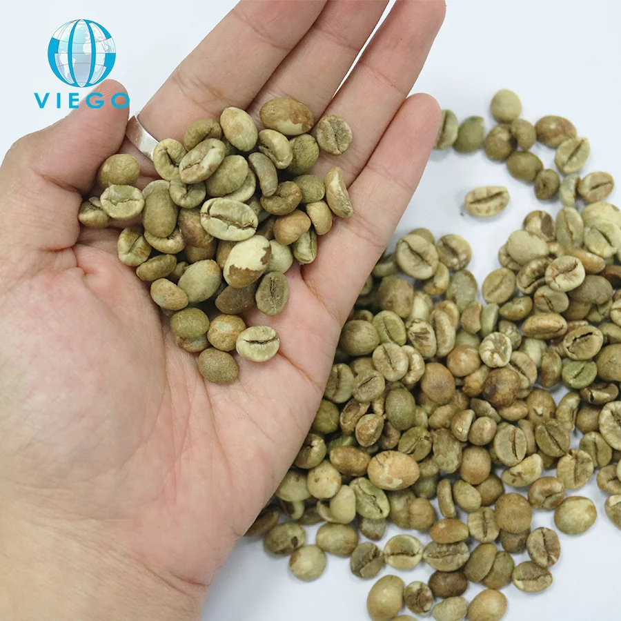 Экспорт самые дешевые вьетнамские зеленые кофейные зерна Robusta класс 1/AA экран 18 стандарт