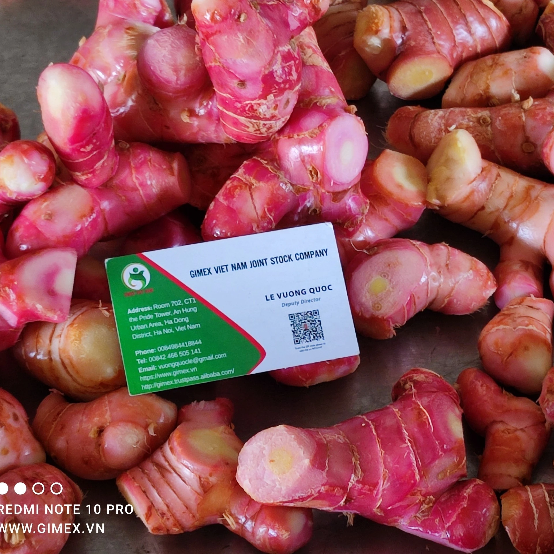 Свежий и замороженный розовый Galangal хорошая цена из Вьетнама свяжитесь + 84984418844