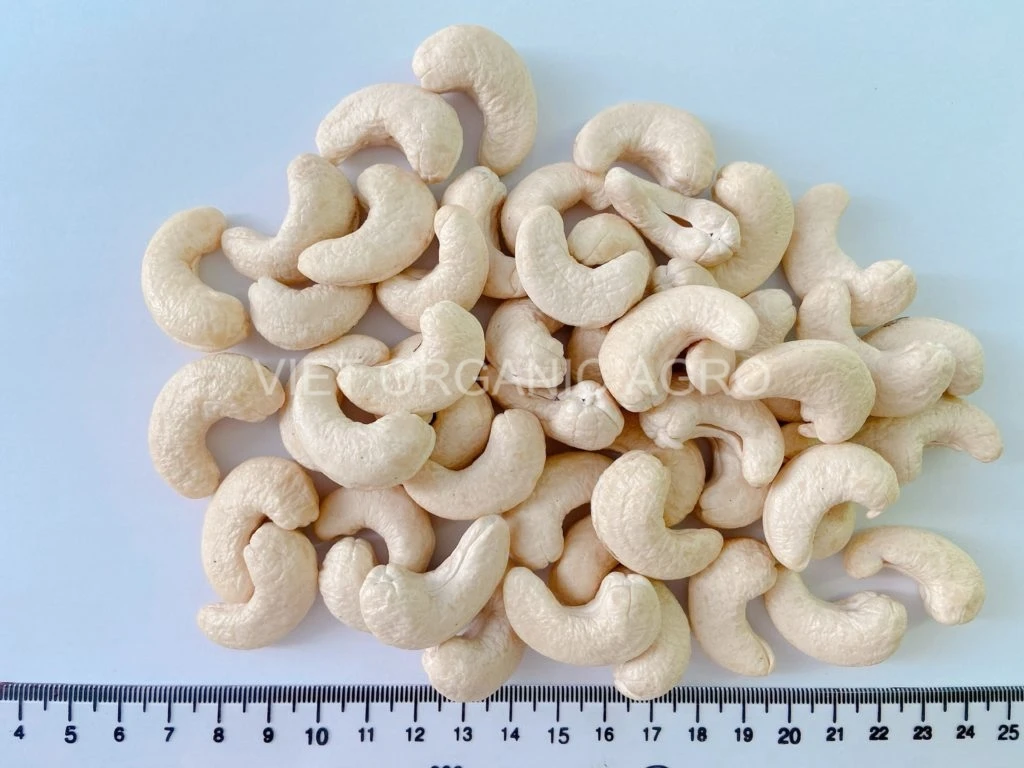 Vietnam supplier various types of cashew nut for wholesale - High quality  cashew kernel LP - Raw/ roasted cashew nuts