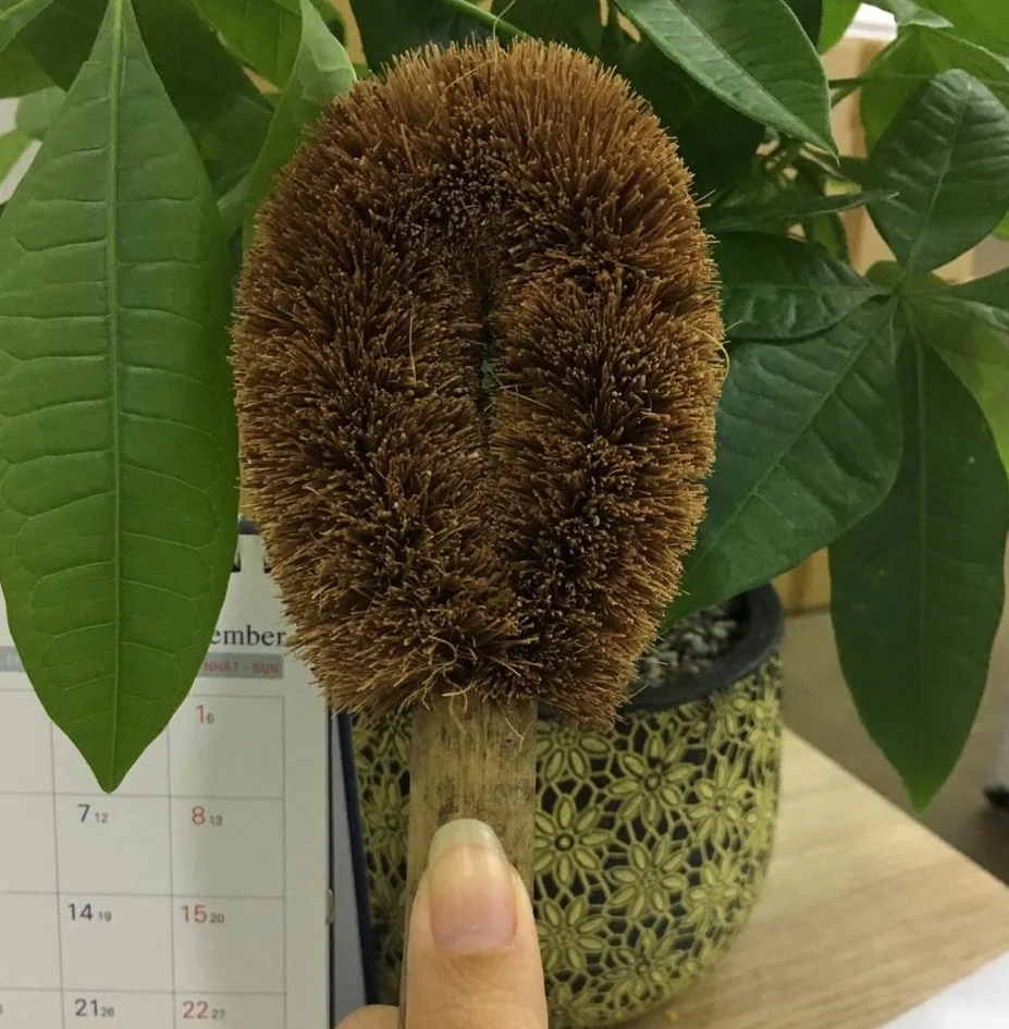 Wholesale with High QUALITY Coconut Kitchen Cleaning Brush Multi Purpose Eco-friendly Brush Fiber Brush from Agricultural Waste