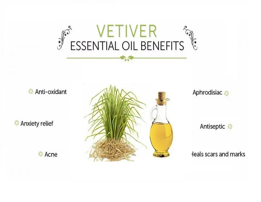 Top Quality Vetiver Essential Oil For Aromatherapy Uses pure essential oil manufacturers and Bulk suppliers