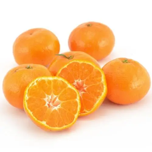 Best quality Mandarin sales / mandarin orange wholesale price
