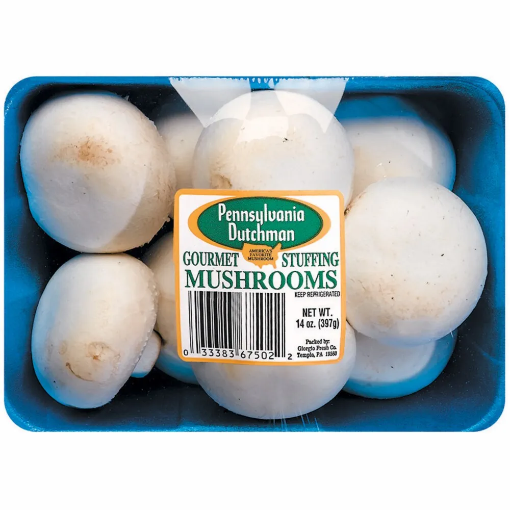 
White Oyster Mushroom Whole Fresh Mushroom for sale 