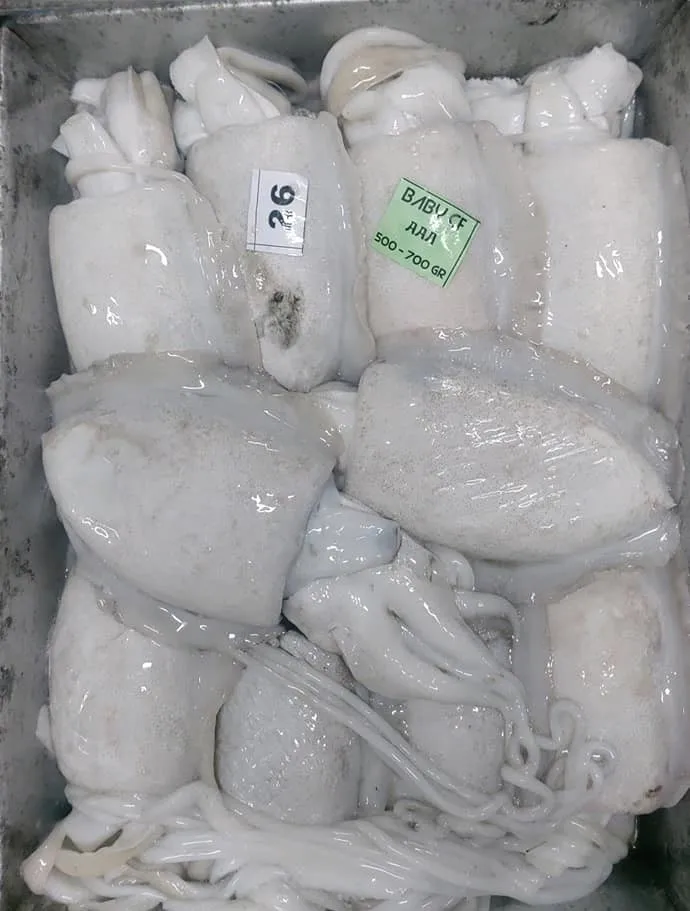 Замороженная морская рыба, свежая морская рыба, морская рыба