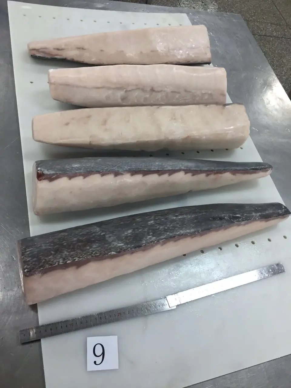 High Quality  Frozen  Oilfish Fillet /  Oilfish HGT(Lepidocybium Flavobrunneum)