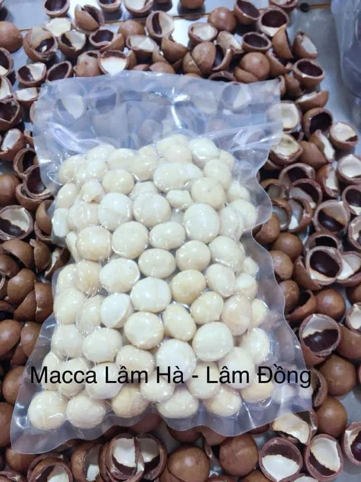 
ISO Certification Use immediately without Processing Organic Cultivation Type Macadamia kernel from Vietnam 