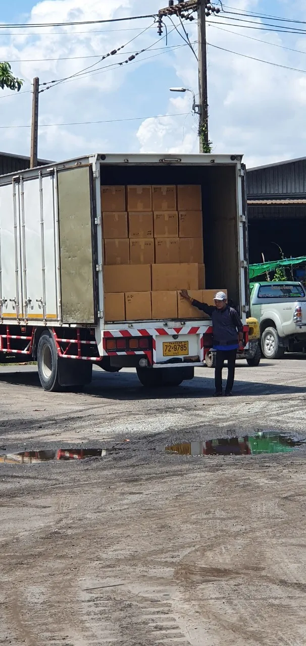 Mango Freeze Dried Best seller from Thailand