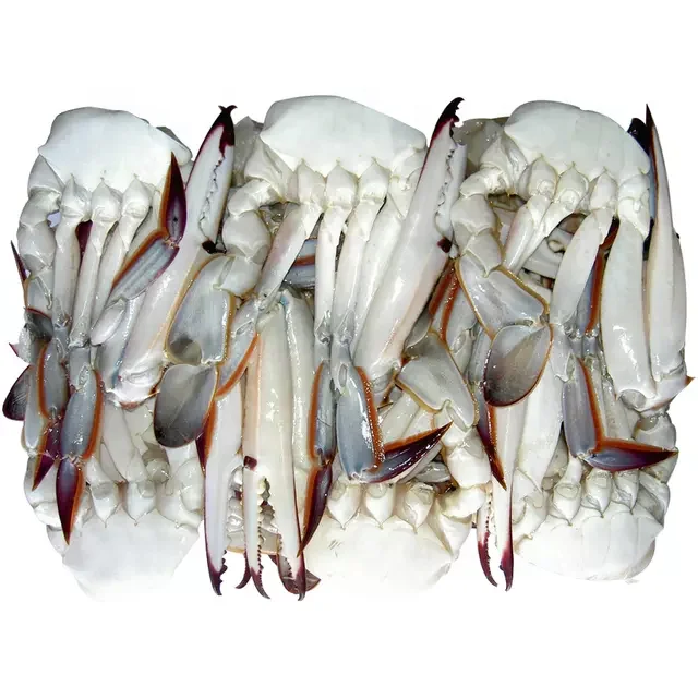 KING shiny red rubber crab, orange colored legs, hare toy, cheap