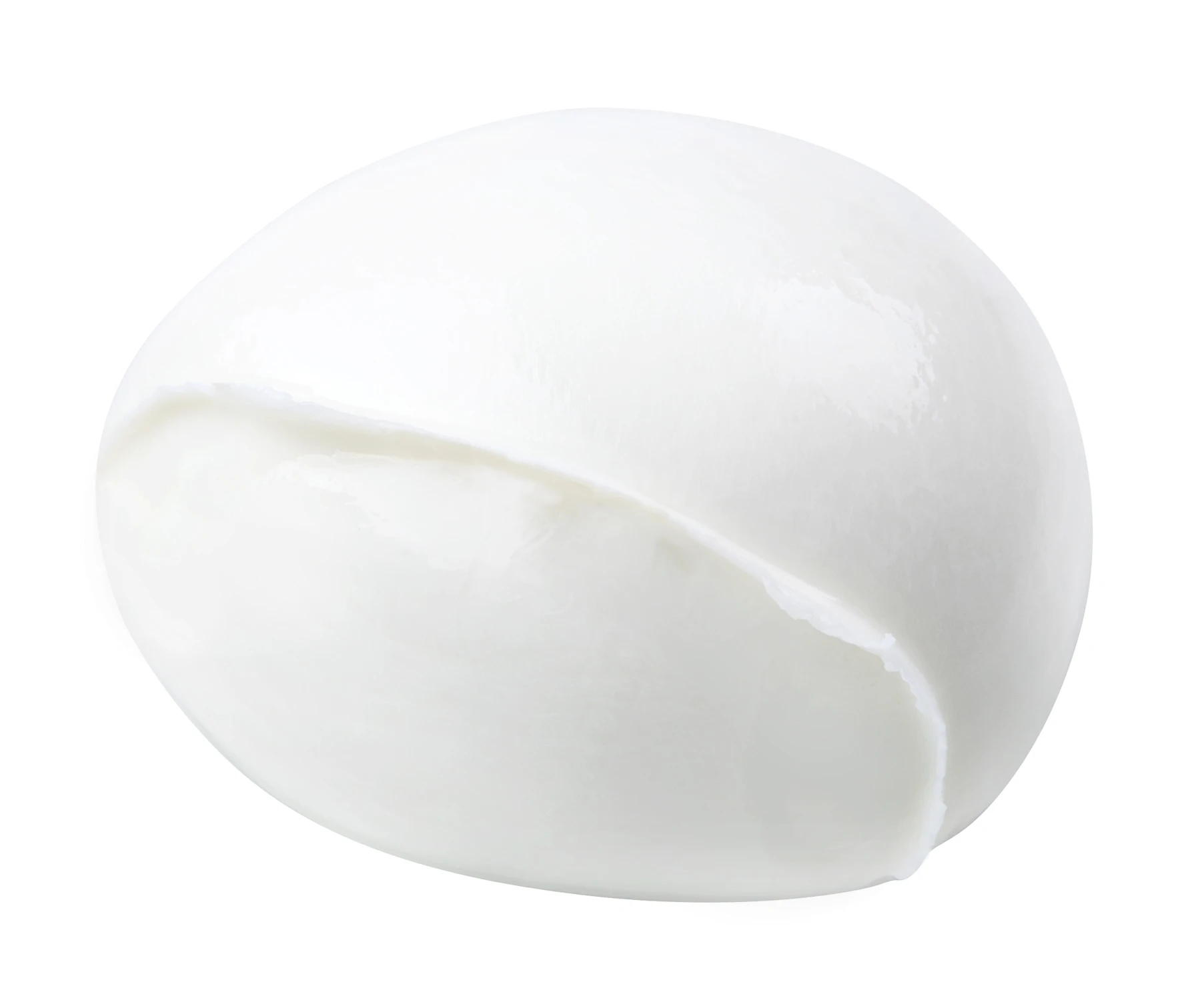 High quality Italian fresh cheese Mozzarella di Bufala Campana PDO sachet bag 250g