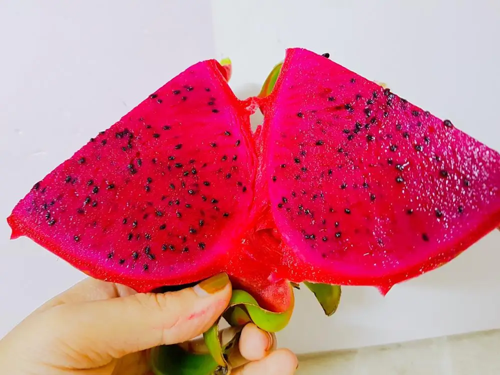 Дракон фрукт горячая Распродажа + 84932436968