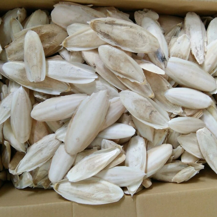 
Cuttlefish Bone for Bird Feed 