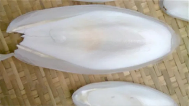 Сушеные Обрезанные рыбные кости профессиональное производство из Вьетнама чистые и высококачественные для экспорта