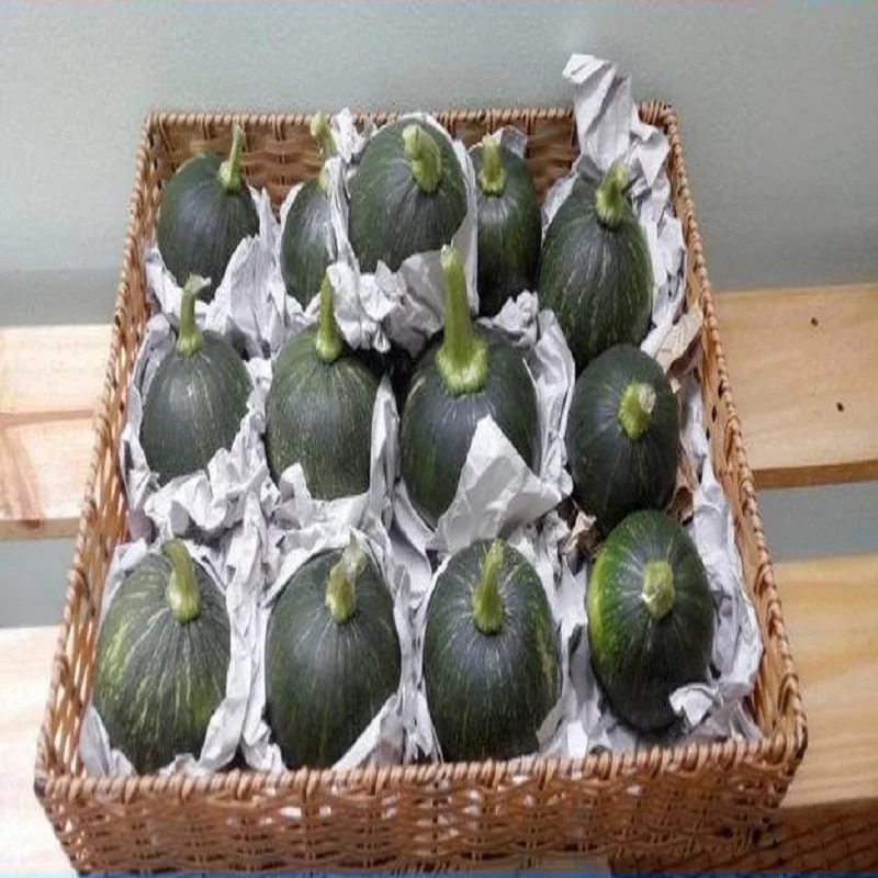 FRESH PUMPKIN HIGH QUALITY