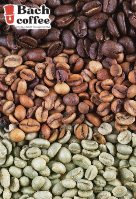 Distributor White Coffee Ground Coffee / 100 % Catimor Coffee  Beans  Extremely Lightly Roasted/ Low Acidity/ Small Batches