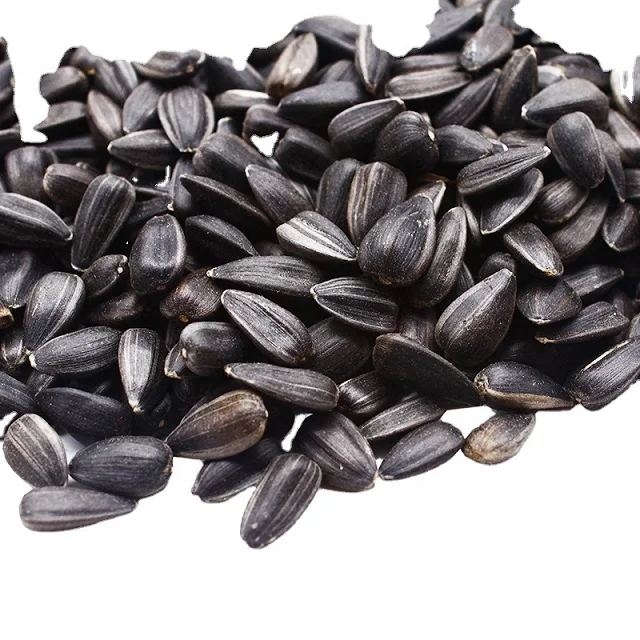 Wholesale Price bulk sunflower seeds raw sunflower kernels Available for sale