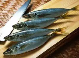 TOP SELLER FROZEN HORSE MACKEREL FROZEN SEAFOOD IQF Frozen Fish Food (Thai Lien Company, Ms Phuong: +84789196389)