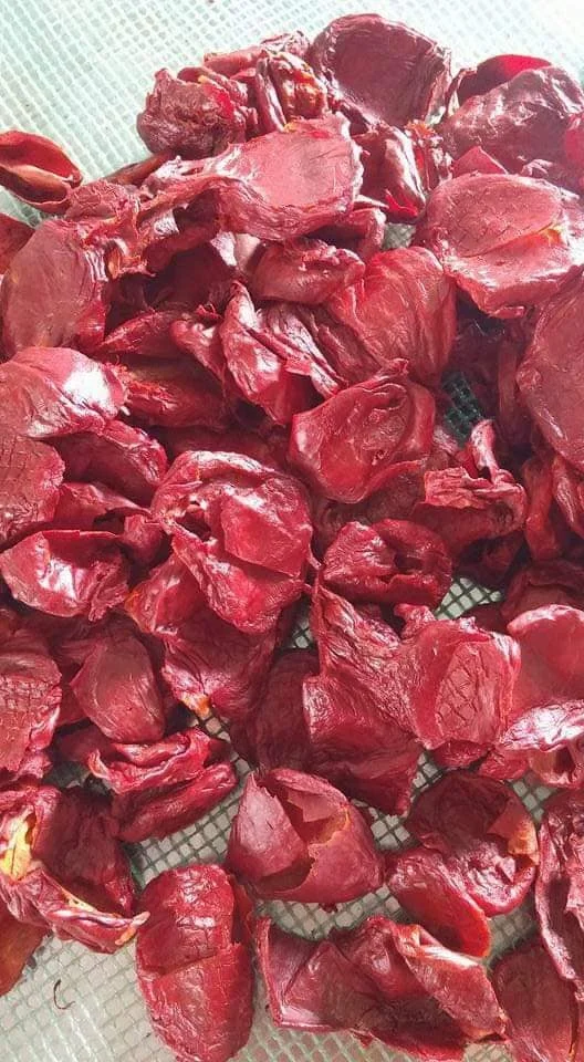 Gac Fruit/ Baby Jackfruit/ Spiny Bitter Gourd sprcial food OF VietNam