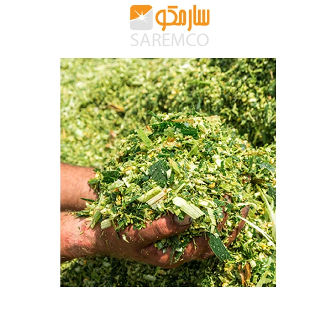 High Quality Corn Silage For Bulk Quantities And Cheap Rates