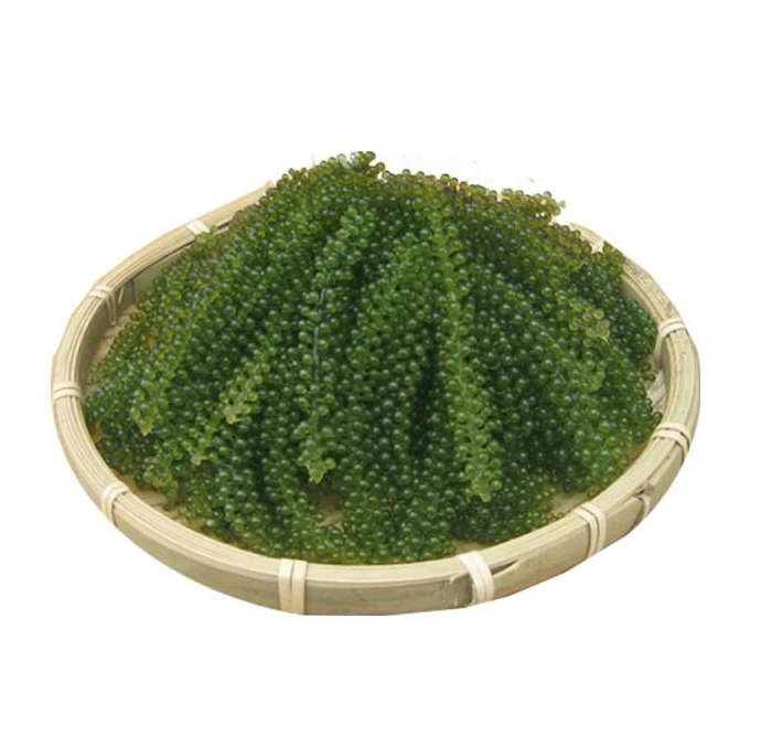 Healthy Food Dehydrated Dried Seaweed With Cheap Price