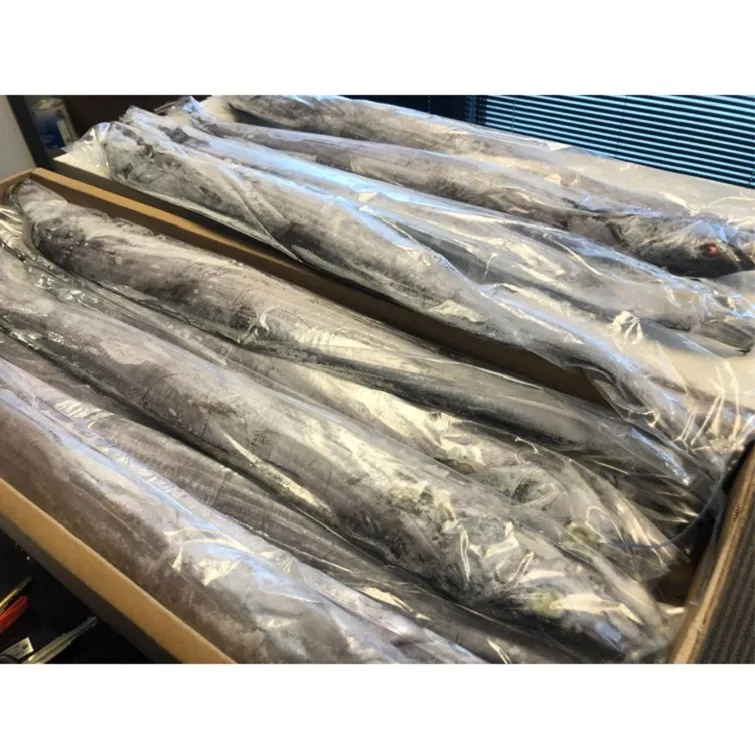 
Ice Cold Frozen Salmon Fish/ Atlantic Frozen Salmon Available For Sale 