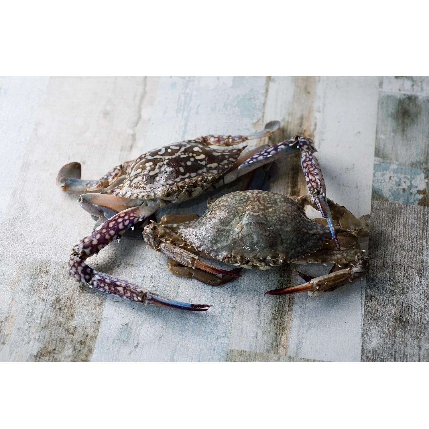 Best Choice Top Selling Fresh Seafood (300-UP gm/pcs) IQF 1 kg/box Whole Part Frozen Blue Swimming Crab
