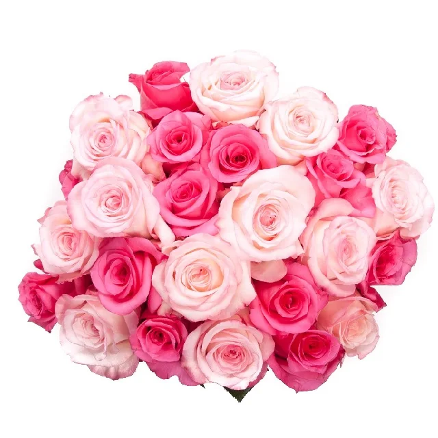 Wholesale Floral Foam Blocks Floral Dry Foam Fresh Cut Flower Mud Green White Wedding Decor OEM Gray Mother Pcs Color Plants Day