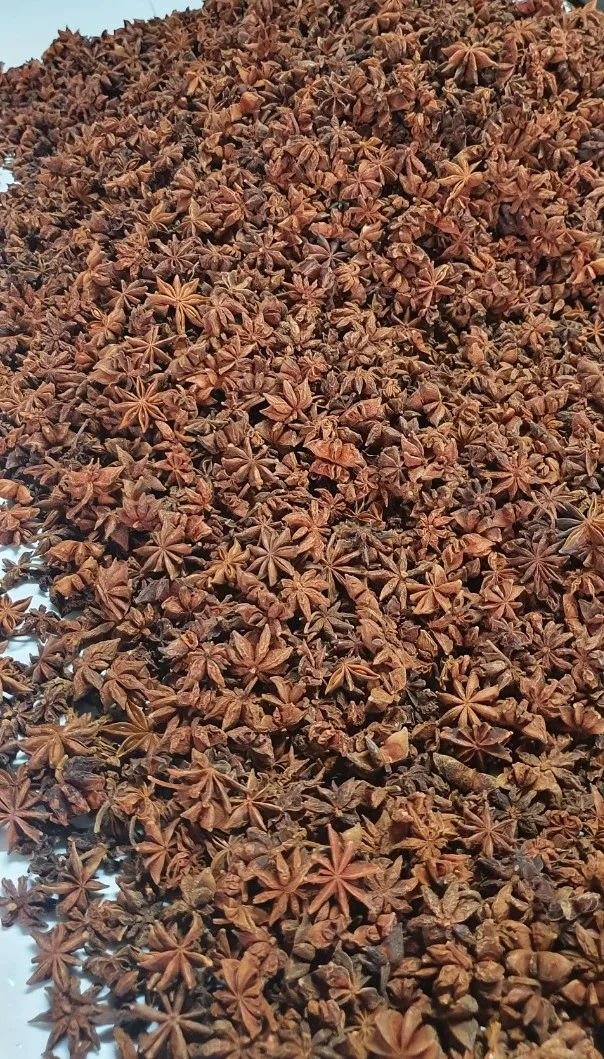 Spices & Herbs Products Natural Brown Dried Style Raw Processing Whole Anise Standard Quality New Spring Crop 2022 From Vietnam