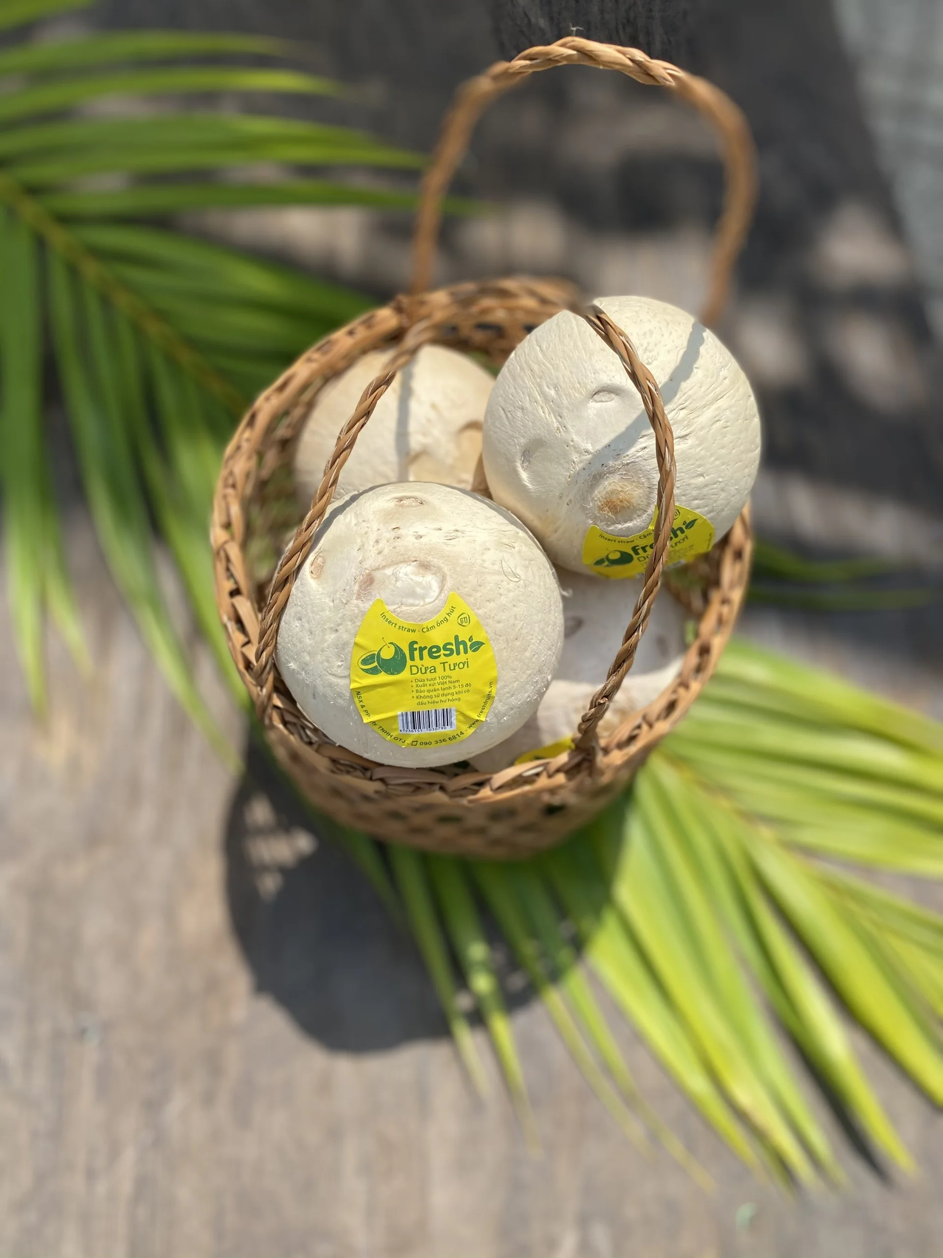 
Wholesale Good Price Natural Whole Fresh Convenient Coconut Good For Health From Vietnam 